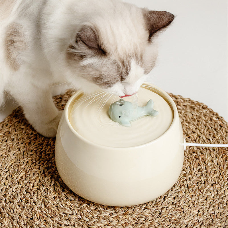 Distributeur d'Eau en Céramique pour Chat avec Filtration Automatique