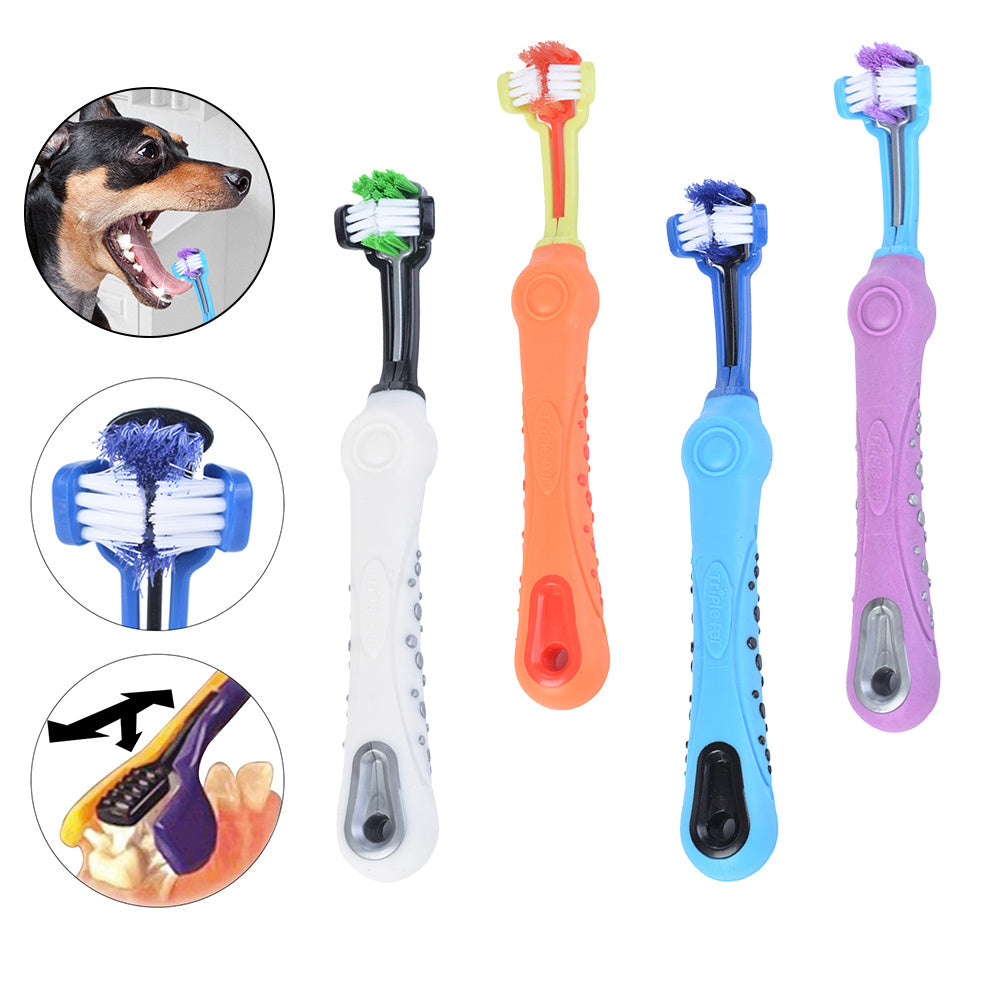 Brosse à Dents Triangulaire pour Chiens - Soin Dentaire