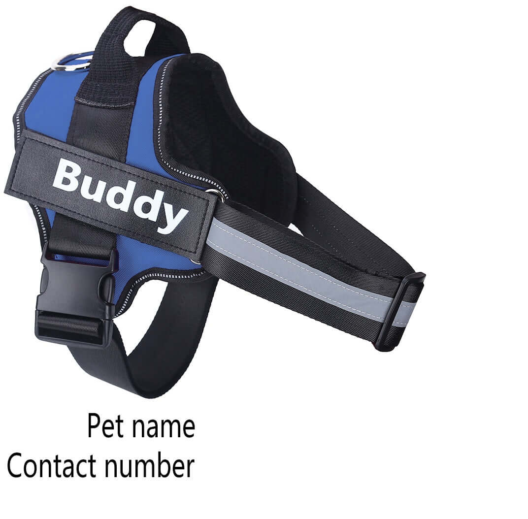Harnais de chien personnalisé rétroréfléchissant ajustable, idéal pour la sécurité nocturne et le confort.