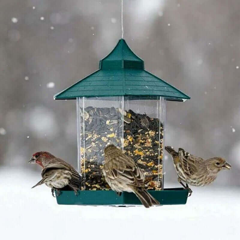Boîte à nourriture pour oiseaux étanche avec des oiseaux se nourrissant sous la neige, idéale pour l'ornithologie.