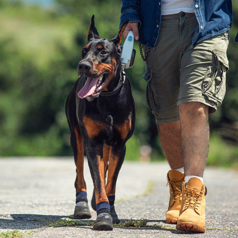 Homme promenant un Dobermann avec des chaussures de sport pour animaux sur une route extérieure.