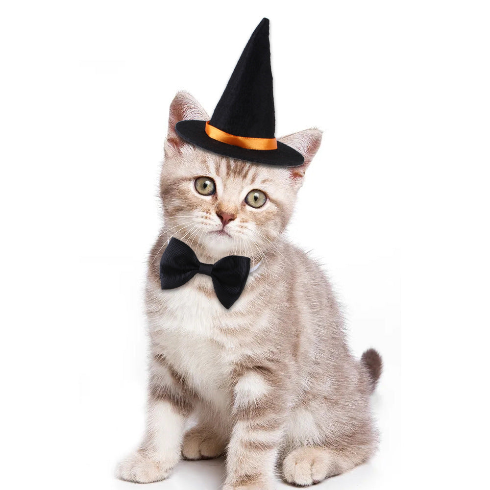 Chat portant un chapeau de sorcier et un nœud papillon, parfait pour Halloween.