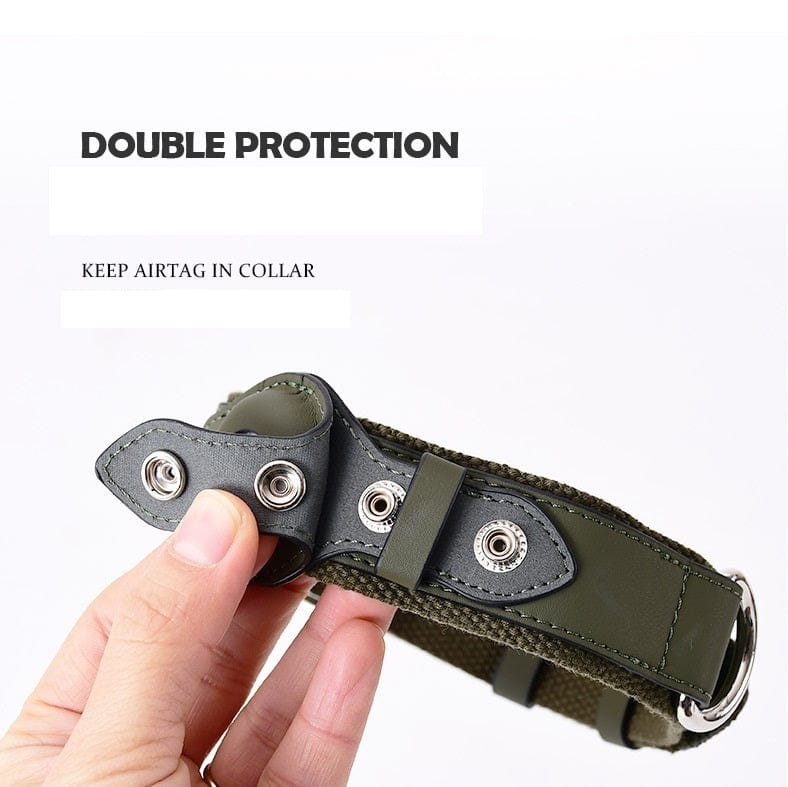 Collier pour chien en vert, avec protection Airtag, parfait pour les chiens moyens et grands.