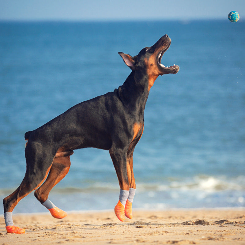 Un chien jouant sur la plage avec des chaussures de sport extérieures antidérapantes pour animaux.