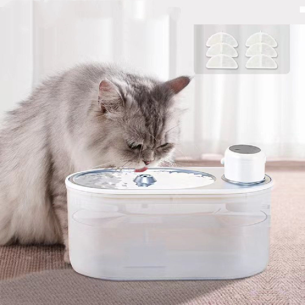 Chat buvant de l'eau dans un distributeur d'eau automatique pour chiens et chats, garantissant fraîcheur au quotidien.