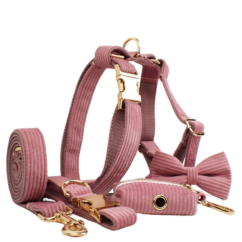 Collier en velours côtelé rose pour chien avec laisse et accessoires, élégant et confortable.