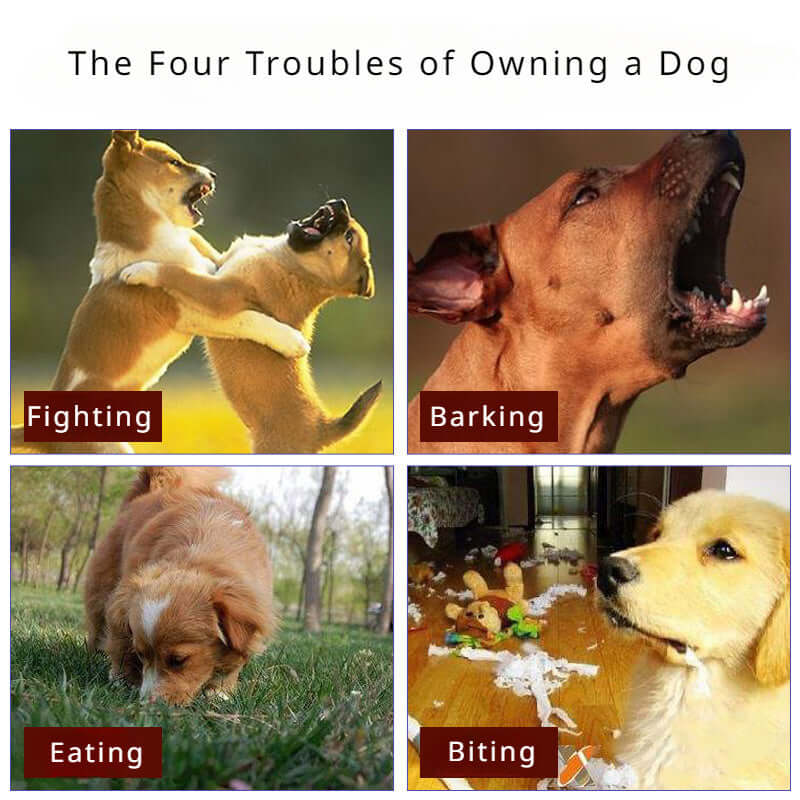Image depicting the four troubles of dog ownership: fighting, barking, eating issues, and biting behavior.