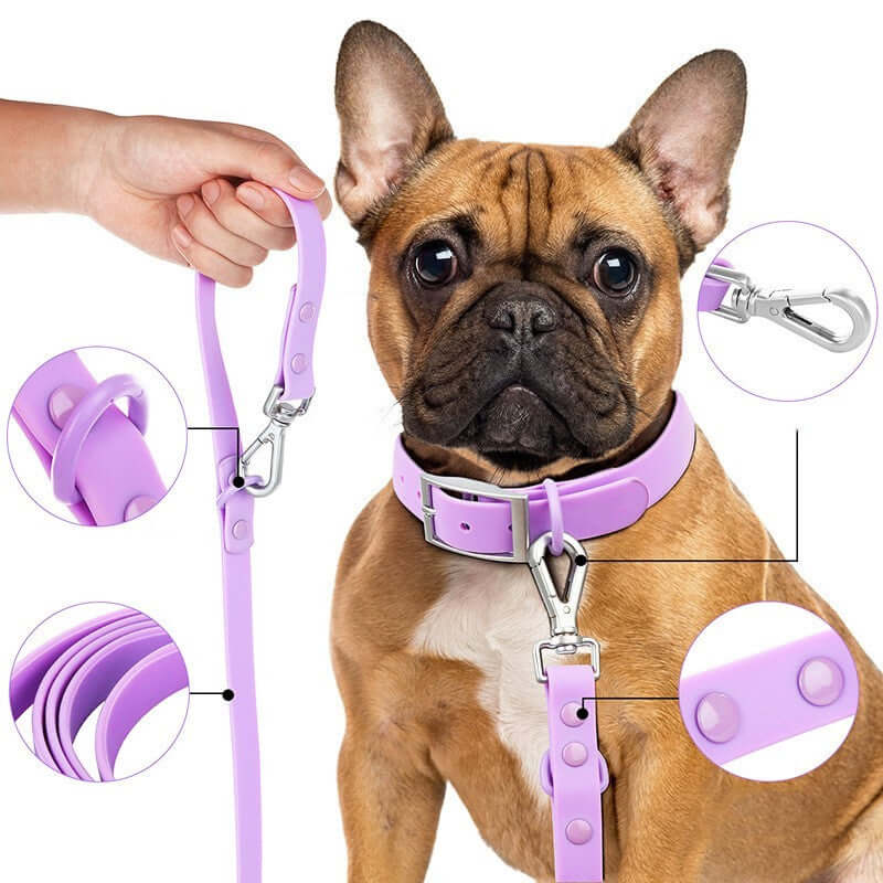 Harnais à poitrine double couche avec laisse pour chien violette, idéal pour l'entraînement et les promenades.