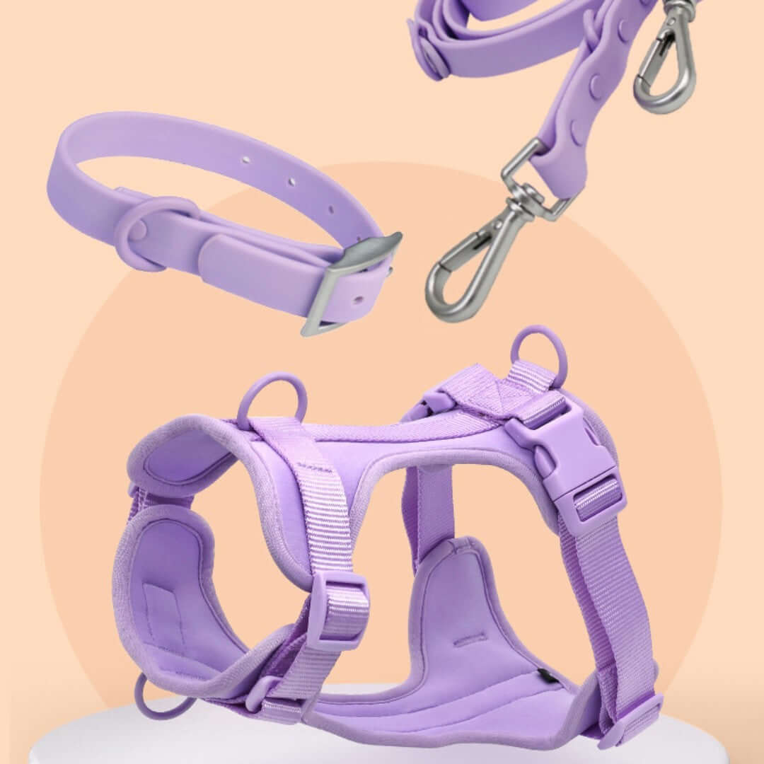 Ensemble de harnais à poitrine double couche violet avec corde de traction pour chien, idéal pour accessoires et promenades.