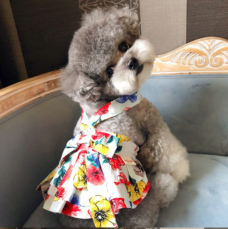 Chien en jupe à fleurs colorées, mettant en valeur des vêtements élégants pour animaux en coton.