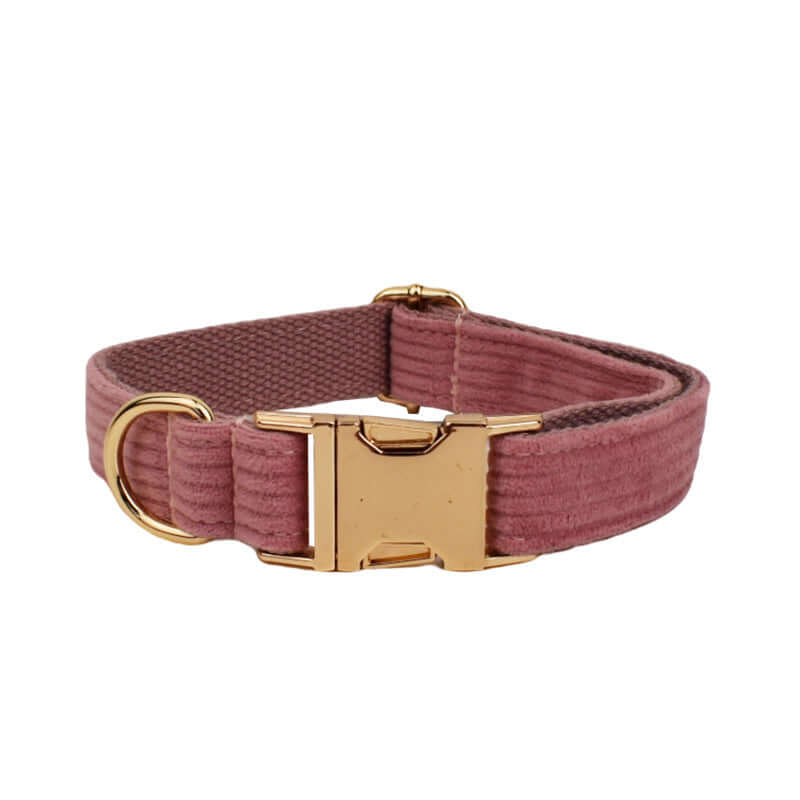 Collier pour chien en velours côtelé rose avec boucle dorée, confortable et élégant.