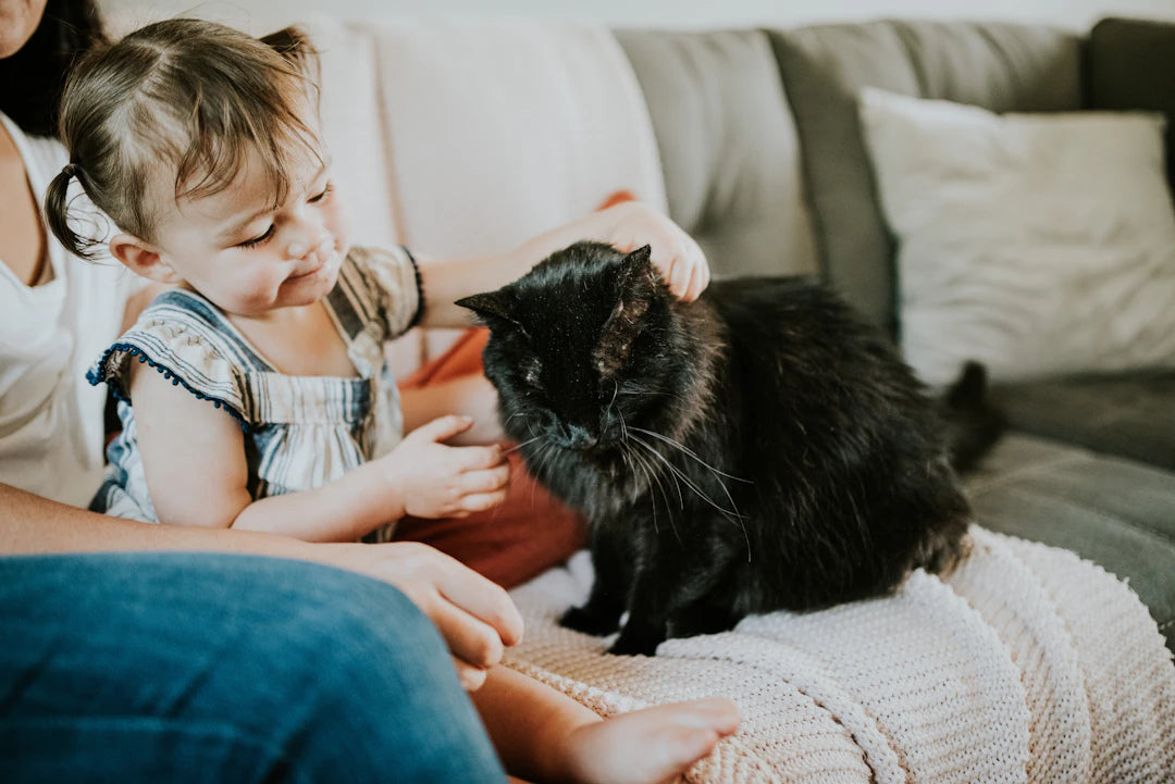 Choisir l'animal parfait pour votre famille