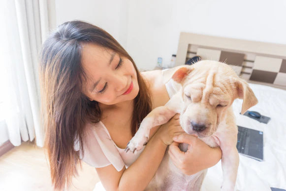 Histoires Inspirantes d'Animaux de Compagnie et Propriétaires