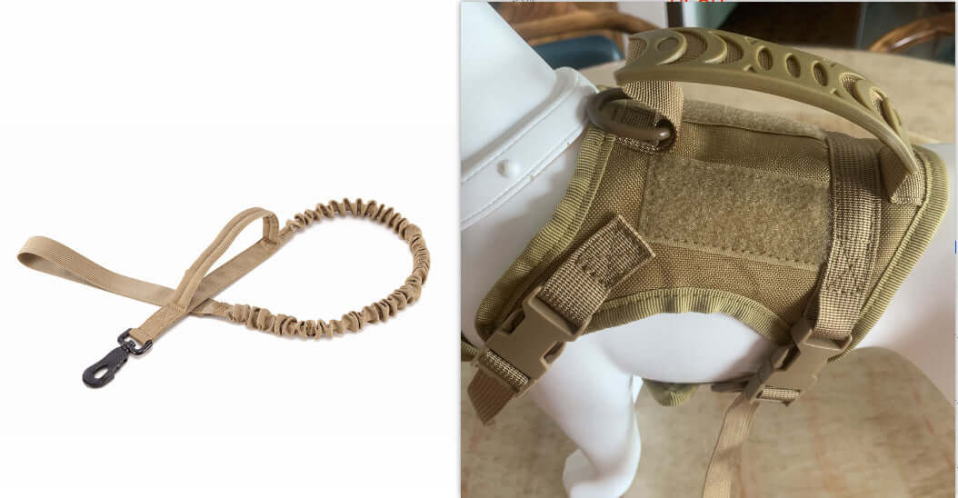 Harnais de poitrine ajustable pour chien avec corde de maintien élastique, idéal pour sécurité et confort.