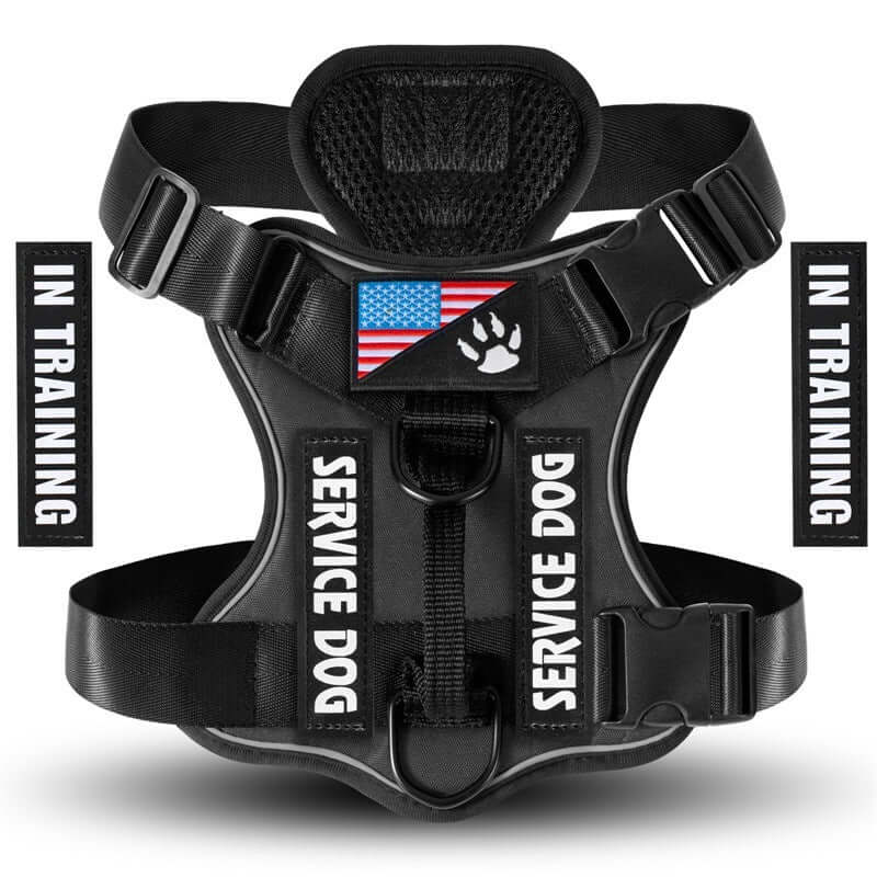 Harnais tactique pour chien 'In Training' avec drapeau américain et contraste noir, idéal pour le confort et la sécurité.