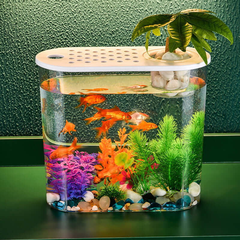 Aquarium incubateur écologique transparent avec poissons d'or et plantes aquatiques colorées.