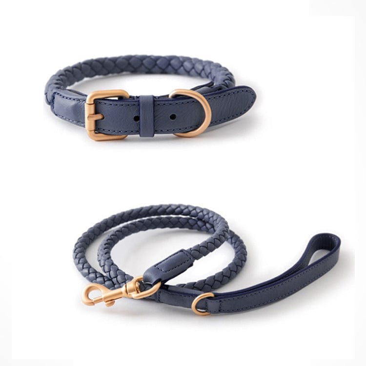Collier en cuir robuste et laisse tressée pour grands chiens, en couleur bleu avec fermetures en métal.