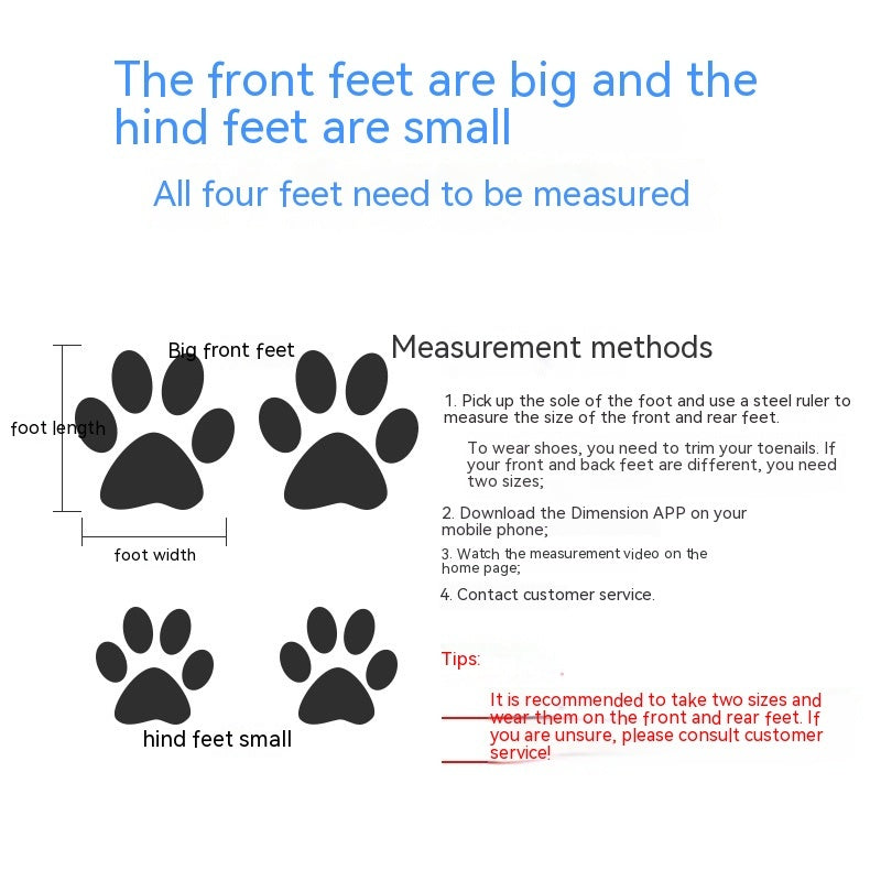 Diagram illustrating how to measure dog paw sizes, highlighting differences between front and hind feet.