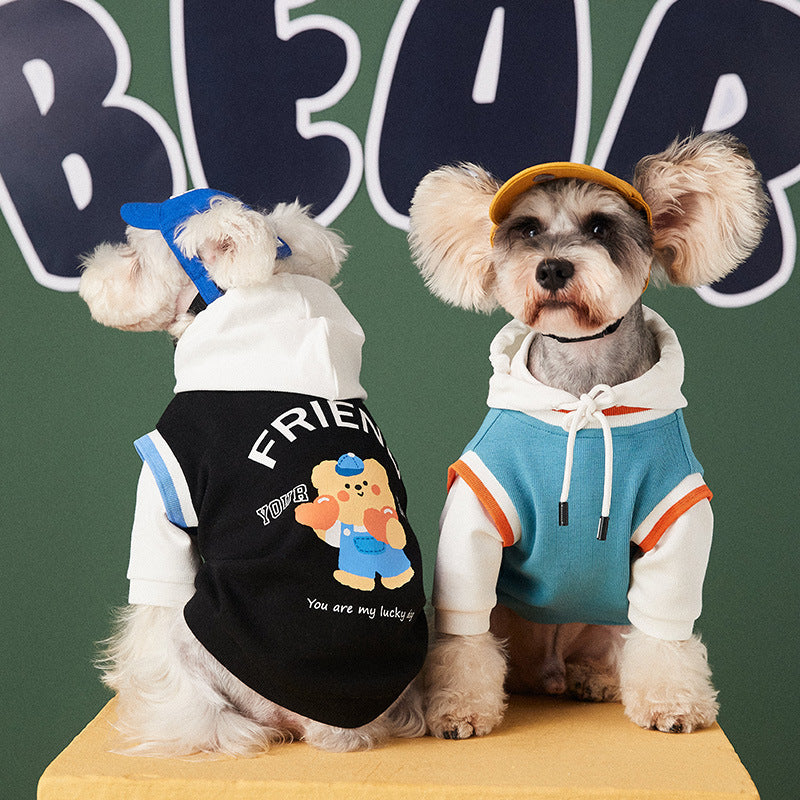 Charming dog pullovers featuring playful designs, perfect for stylish pets in autumn and winter.