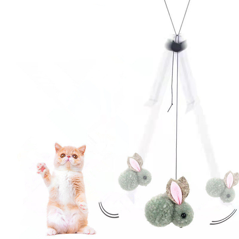 Jouet Élastique Amusant pour Chat et Lapin