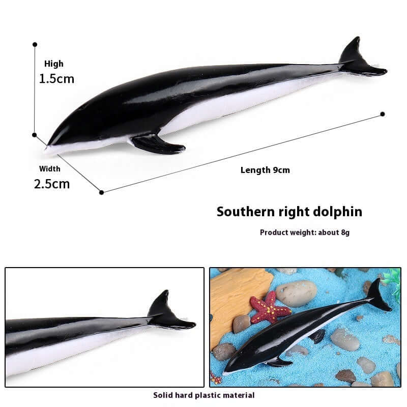 Modèle de dauphin droit du sud en plastique, jouet éducatif pour enfants, dimensions : 9cm x 1.5cm x 2.5cm.