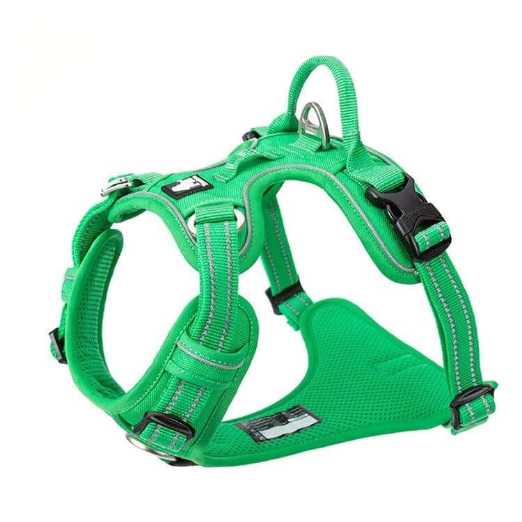 Gilet de sécurité pour chien vert, résistant et confortable, idéal pour les promenades en extérieur.