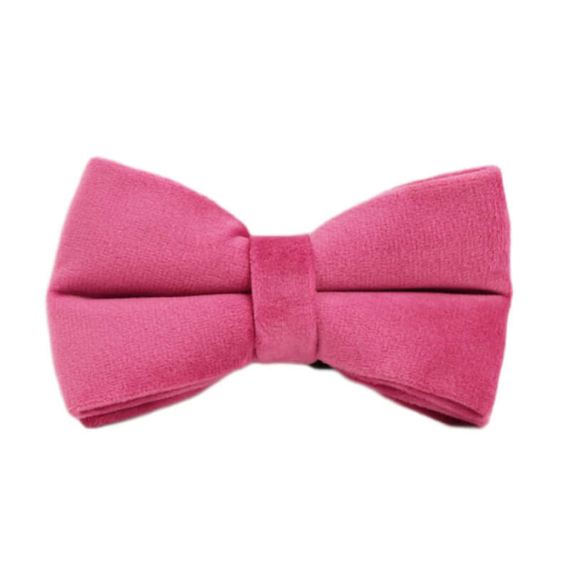 Collier en velours rose pour chien, accessoire élégant et confortable pour vos animaux de compagnie.