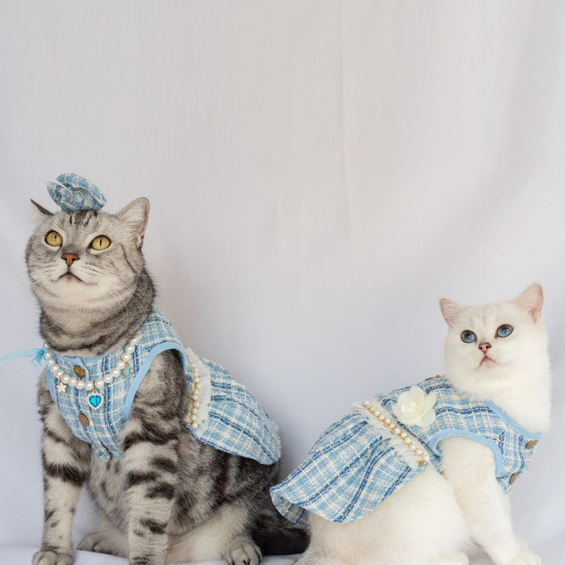 Deux chats en jupes mignonnes en bleu, avec accessoires assortis, prêts pour une séance photo stylée.