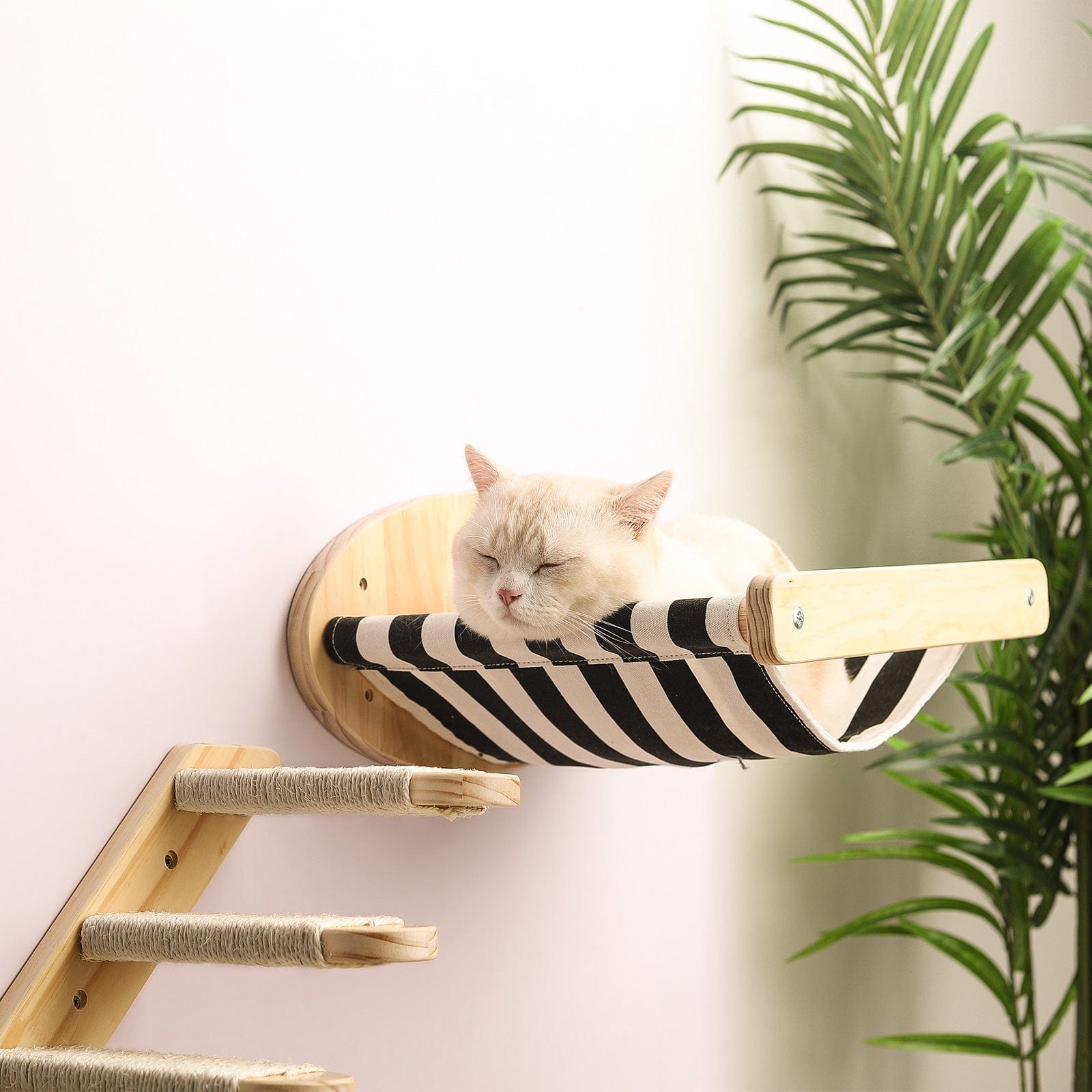 Chat reposant sur un hamac en bois suspendu avec des rayures noires et blanches, décor intérieur moderne.