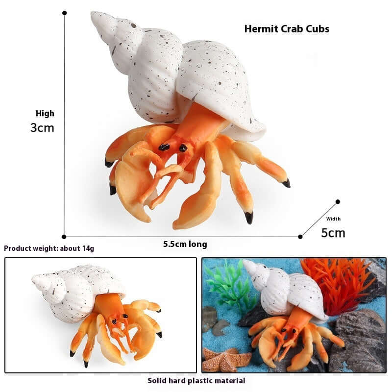 Jouet en plastique de crabe ermite, avec coquille, taille 5,5 cm, coloré, idéal pour l'éducation marine des enfants.