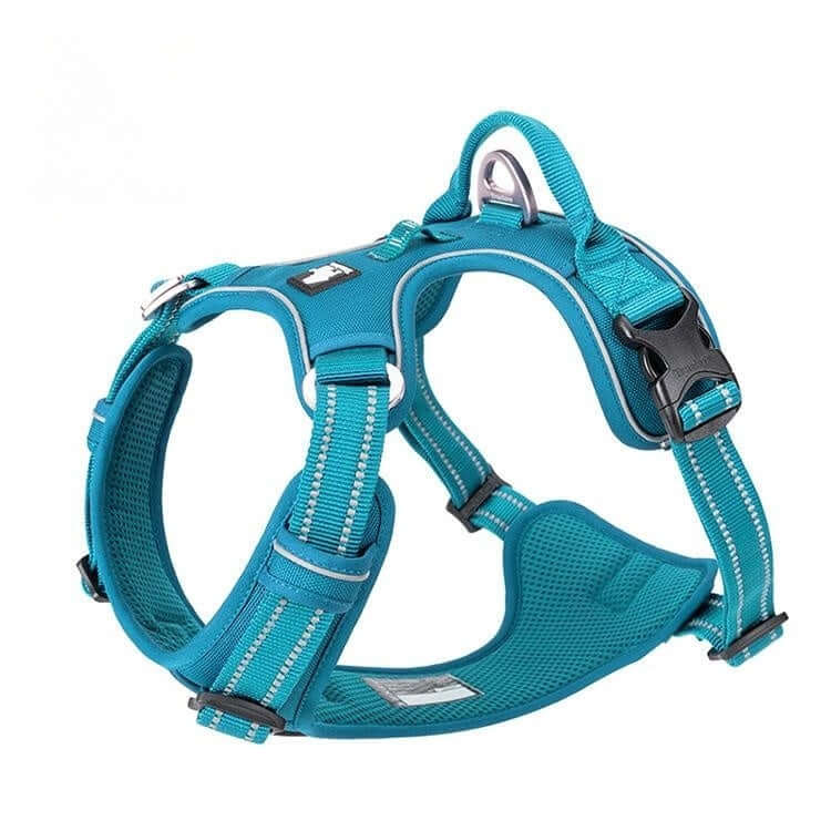 Gilet de sécurité pour chien en nylon bleu, confortable et durable, avec sangle et crochet de traction.