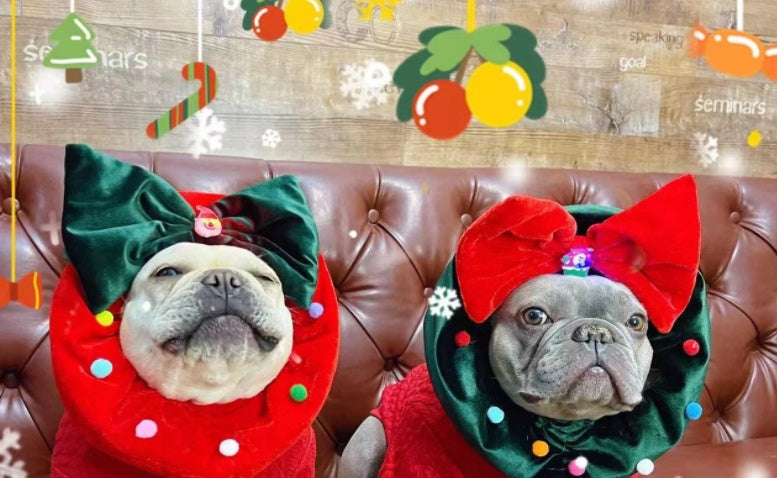 Deux chiens en ornements de Noël festifs avec des colliers colorés en velours, ajoutant une touche festive à la saison.