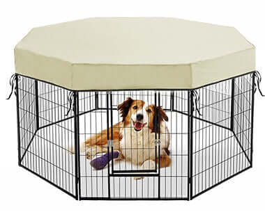 Chien heureux dans un enclos de sécurité avec un coussin beige, ideal pour animaux de compagnie.