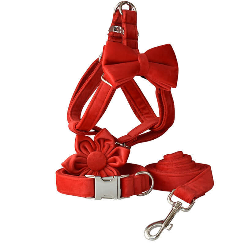 Harnais en flanelle rouge avec boucle dorée et laisse assortie pour chien, élégant et confortable.