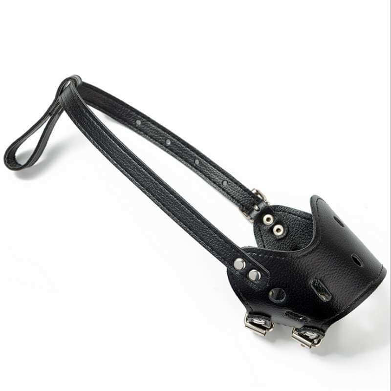 Muselière ajustable en cuir noir pour petits chiens, résistante aux morsures, idéale pour la sécurité et le confort.