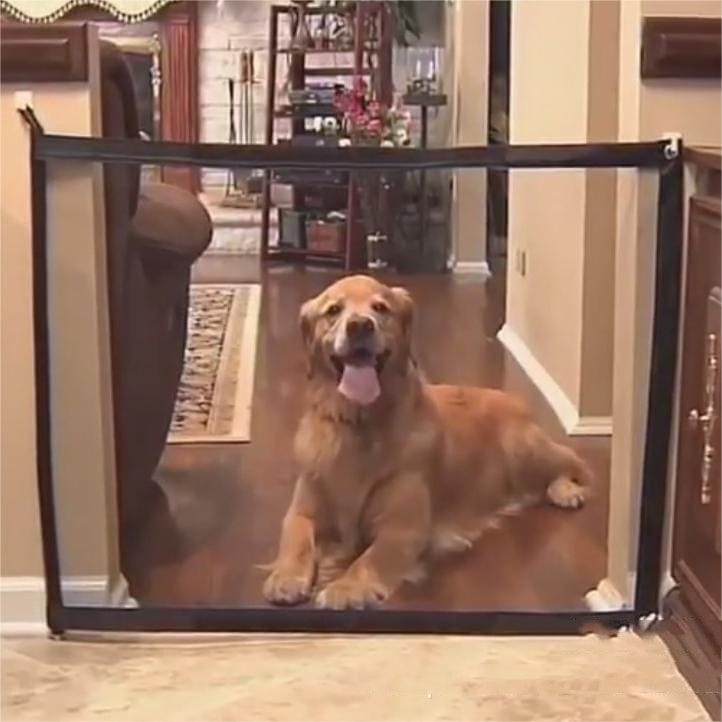 Barrière d'Isolation pour Animaux Portable avec un chien Golden Retriever assis derrière.