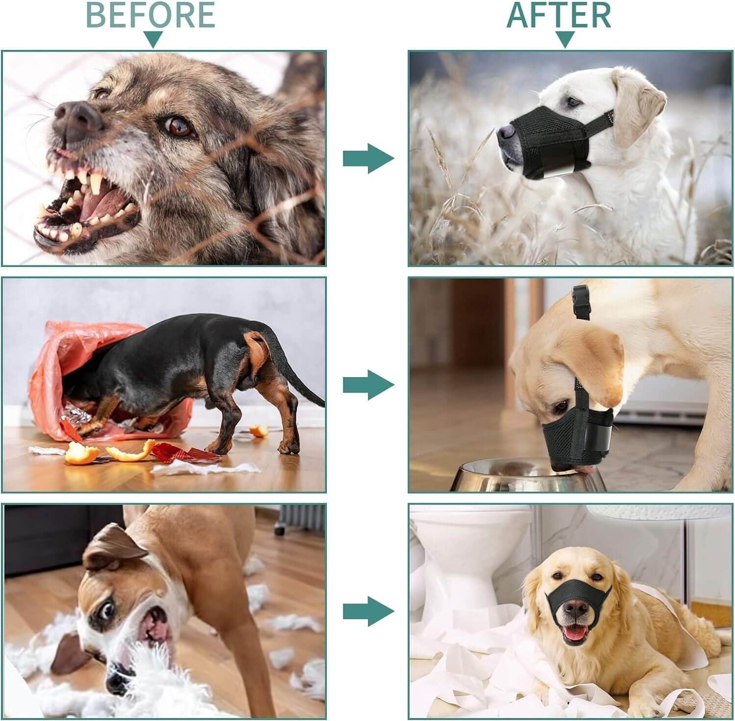 Comparative images of dogs before and after using a mesh muzzle for improved behavior and safety.