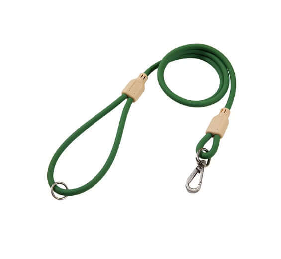 Collier et laisse étanches pour chien, taille M et S, en PVC résistant à l'eau, idéale pour les promenades en plein air.