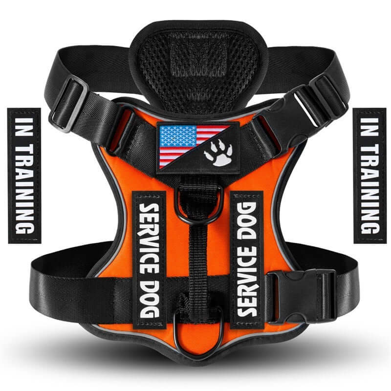 Harnais orange pour chien de service avec étiquettes 'In Training' et drapeau américain.
