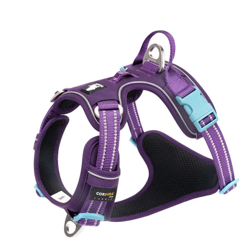 Harnais réfléchissant pour chien en violet, conçu pour confort et sécurité, avec cordes de maintien et matériau durable.