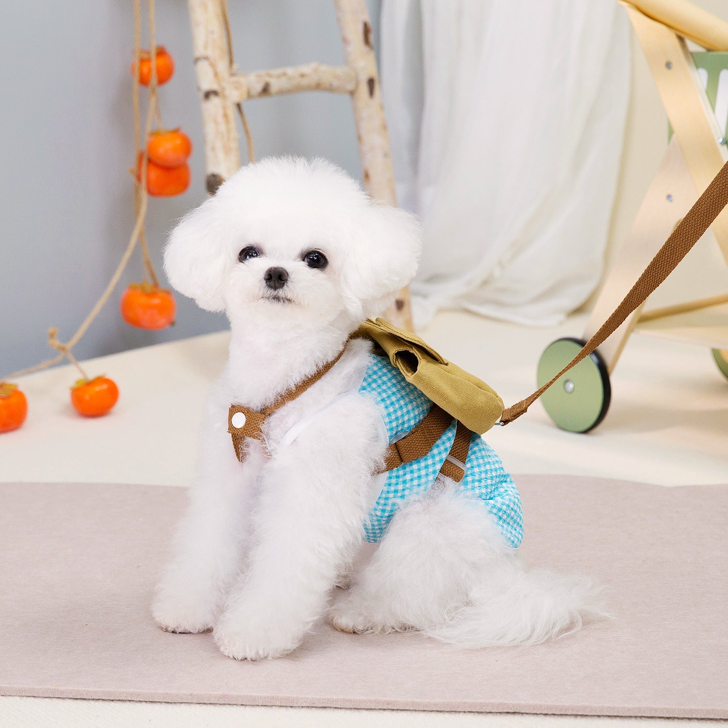 Chihuahua avec sac à dos en toile, prêt pour une aventure, style et confort pour vos promenades.
