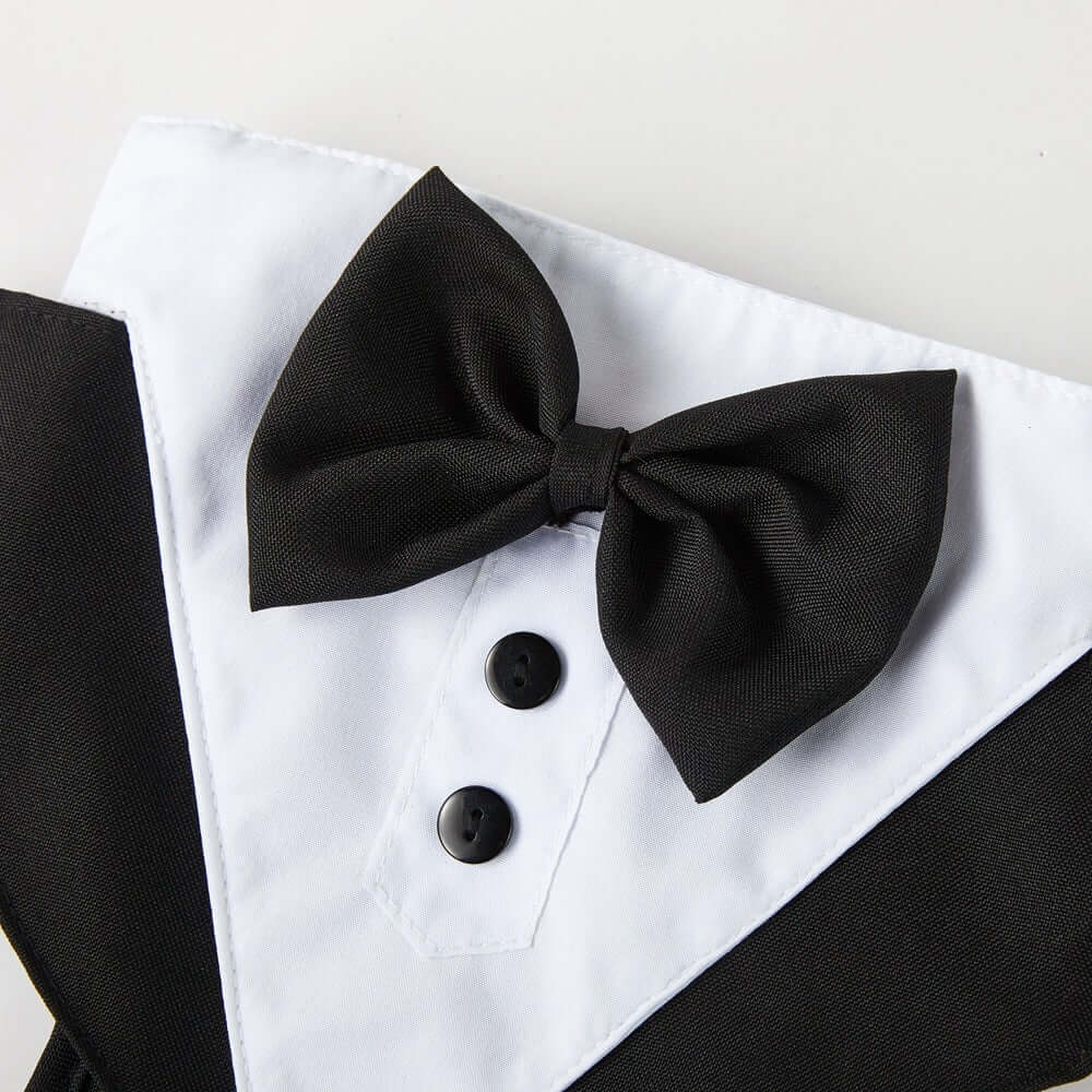Détails d'un costume élégant pour animaux avec nœud papillon noir et col blanc.