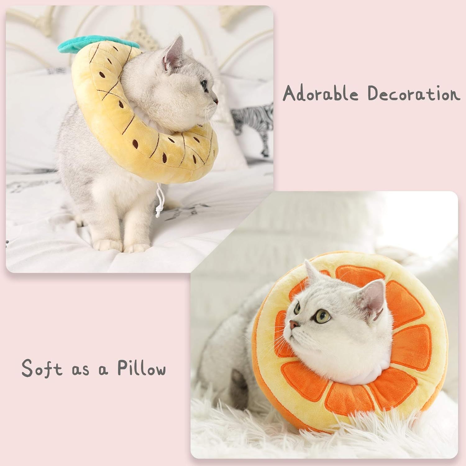 Chat dans un collier en forme de fruit, décoratif et confortable, idéal pour le confort post-opératoire.