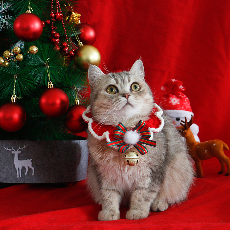 Chat portant un col en tricot de Noël avec un grelot, devant un arbre décoré et des ornements festifs.