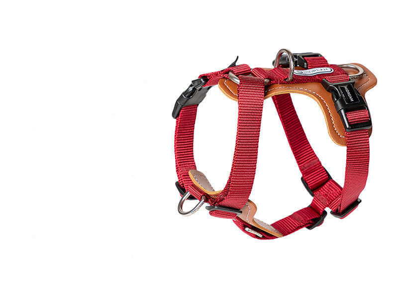 Harnais de sécurité pour chien en rouge, conçu pour un confort et une sécurité optimale.