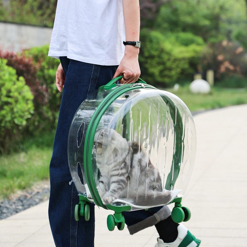 Sac à dos trolley transparent pour chat, transport stylé et confortable avec roulettes.
