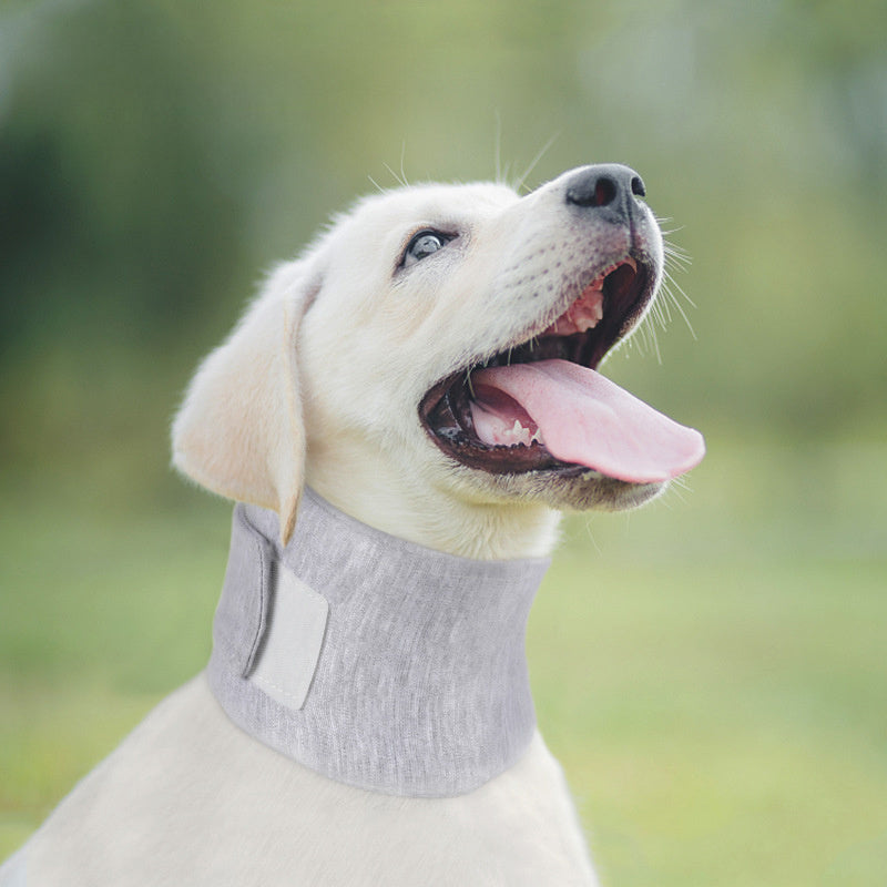 Collier de récupération souple pour chien, offrant confort et soutien après une opération, sur un chiot heureux.