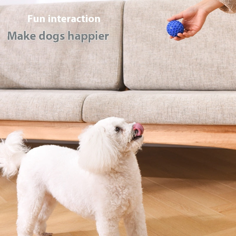 Jouet en TPR pour Chien - Balle Anti-Déchirure et Molarité