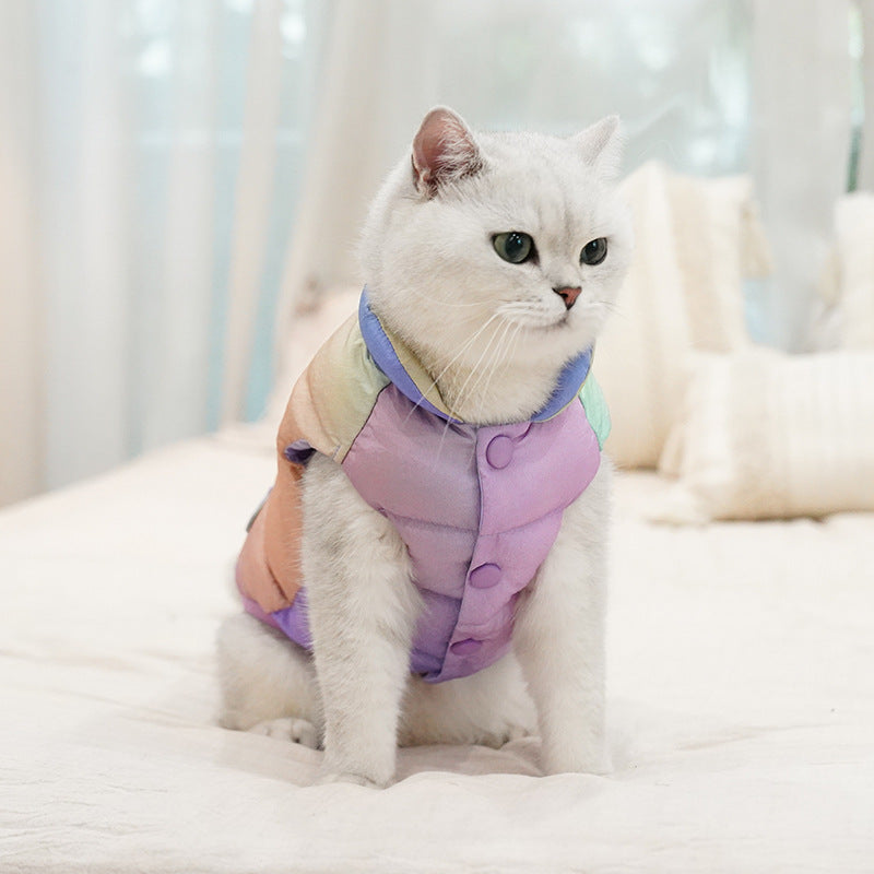 Gilet coloré tendance pour chat, idéal pour l'hiver, offrant style et confort.