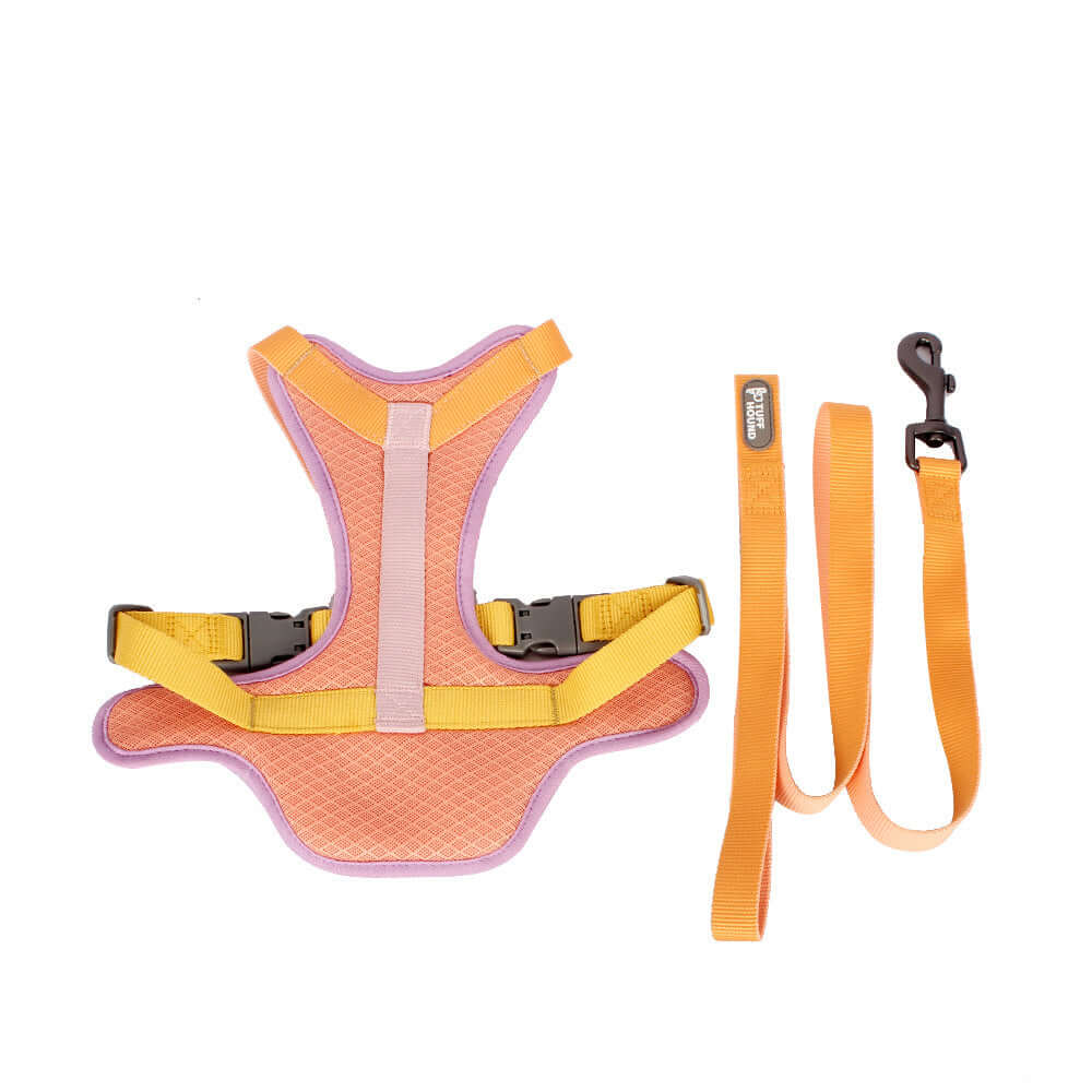 Ensemble harnais et laisse coloré pour chiens, fabriqué en tissu de qualité, idéal pour des promenades stylées.
